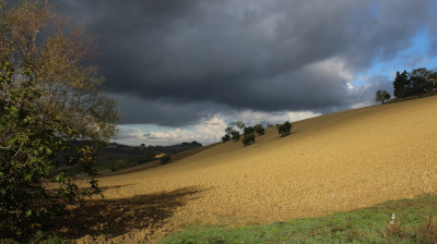 L'orto di Nisetta - foto numero 1