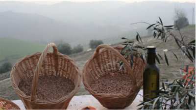 L'orto di Nisetta - foto numero 16