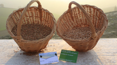 L'orto di Nisetta - foto numero 18