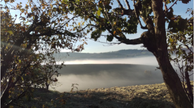 L'orto di Nisetta - foto numero 4