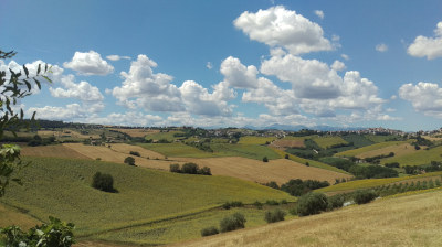 L'orto di Nisetta - foto numero 6